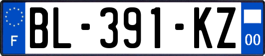 BL-391-KZ