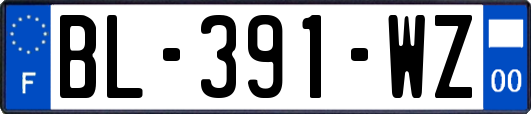 BL-391-WZ