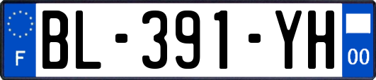 BL-391-YH