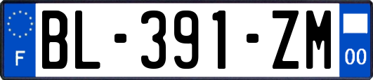 BL-391-ZM