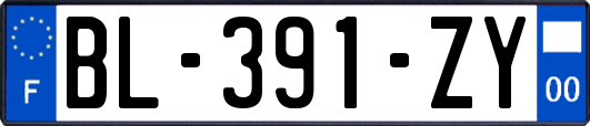 BL-391-ZY