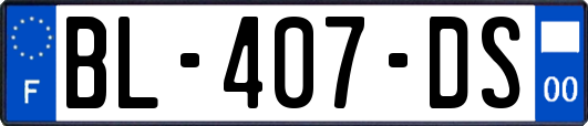 BL-407-DS