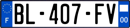 BL-407-FV