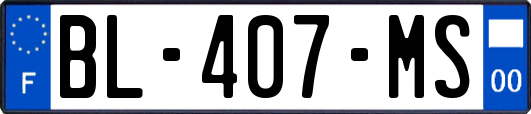 BL-407-MS