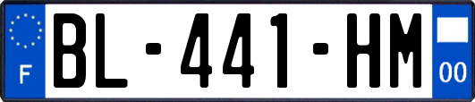 BL-441-HM