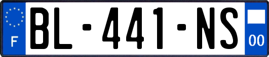 BL-441-NS