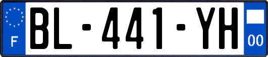 BL-441-YH