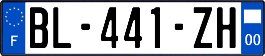 BL-441-ZH