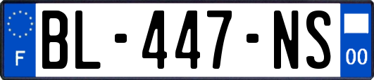 BL-447-NS