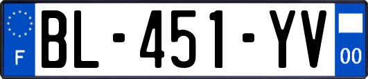 BL-451-YV