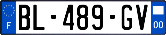 BL-489-GV