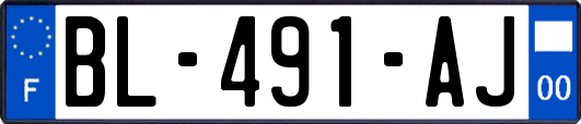 BL-491-AJ