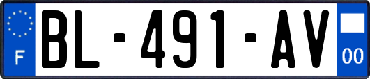 BL-491-AV