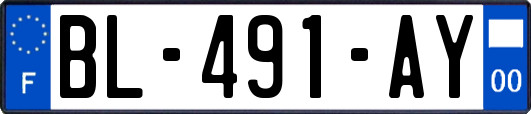 BL-491-AY