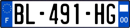 BL-491-HG