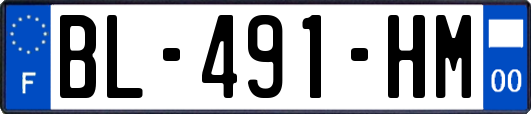 BL-491-HM