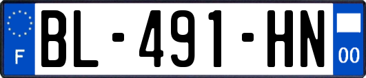 BL-491-HN