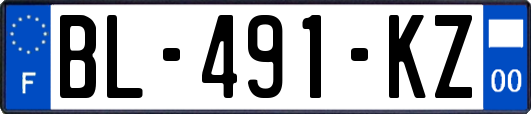 BL-491-KZ