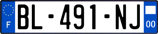 BL-491-NJ