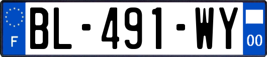 BL-491-WY
