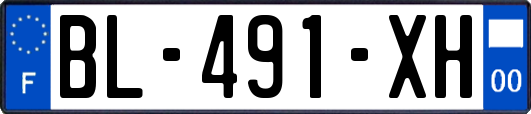 BL-491-XH