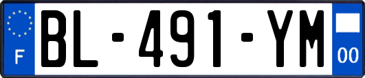 BL-491-YM