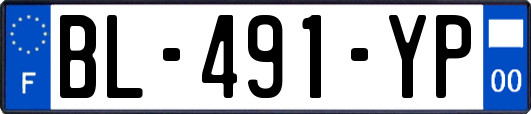 BL-491-YP