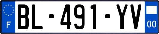 BL-491-YV