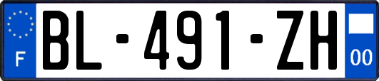 BL-491-ZH