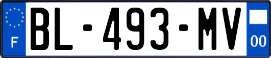 BL-493-MV