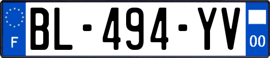 BL-494-YV
