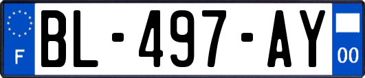 BL-497-AY