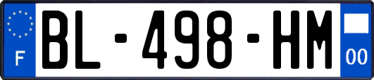 BL-498-HM