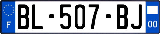 BL-507-BJ