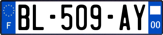 BL-509-AY