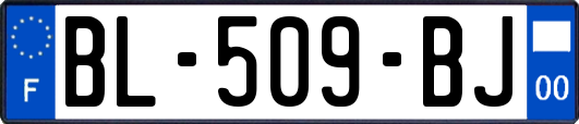 BL-509-BJ