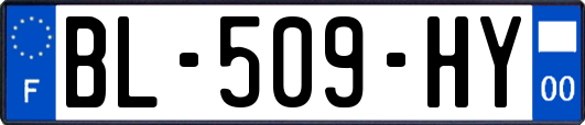 BL-509-HY