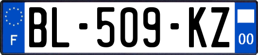 BL-509-KZ