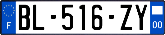 BL-516-ZY