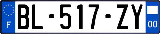 BL-517-ZY
