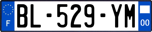 BL-529-YM