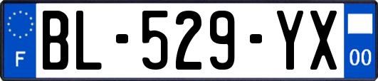 BL-529-YX