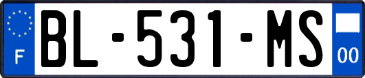 BL-531-MS