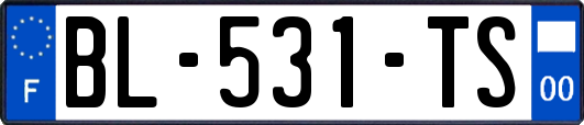BL-531-TS