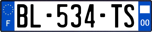 BL-534-TS