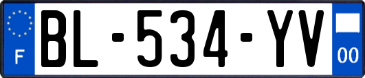 BL-534-YV