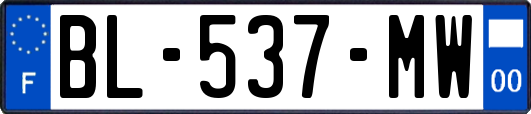 BL-537-MW