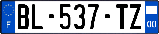 BL-537-TZ