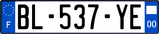 BL-537-YE