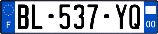 BL-537-YQ